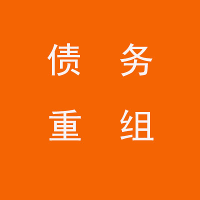 册亨个人债务重组优化